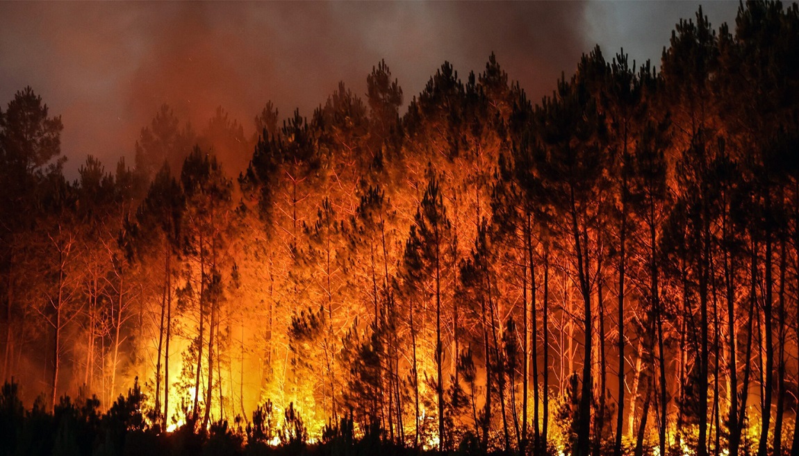 दाङका राष्ट्रिय तथा सामुदायिक वनमा वर्सेनि डढेलोको चुनौती