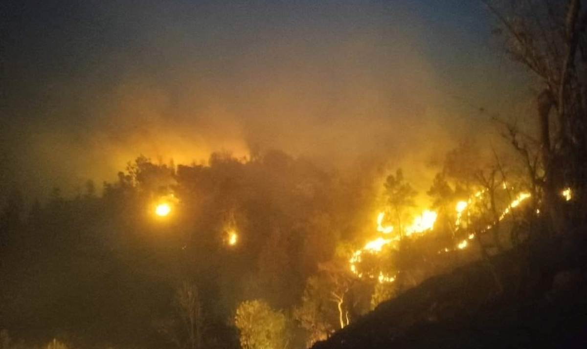 पाल्पामा डढेलो निभाउने क्रममा एक जनाको मृत्यु