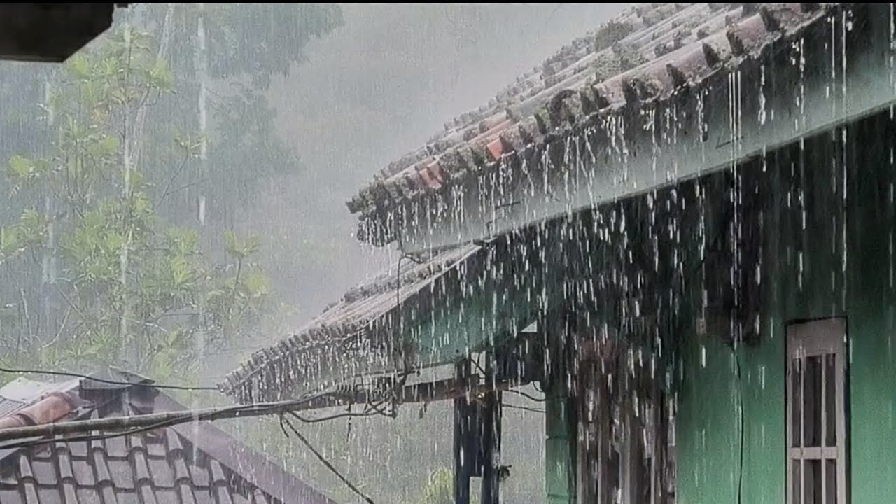 पछिल्लो २४ घण्टामा रुपन्देहीको सैनामैनामा सबैभन्दा बढी वर्षा